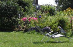 garten3.jpg